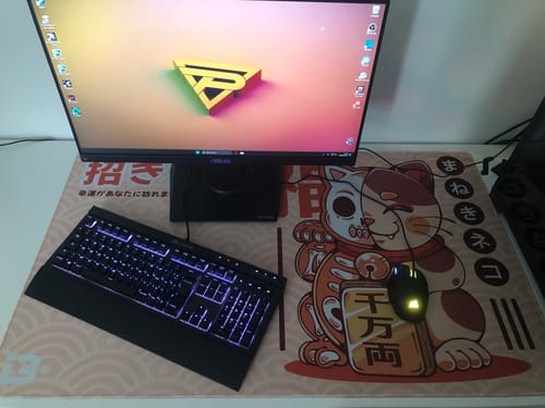 Customer photo review of Skeleton Maneki Neko