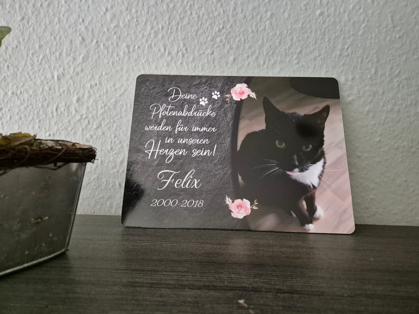 Customer photo review of Kaninchen Gedenktafel mit Foto & Spruch (UV- & Wetterfest)