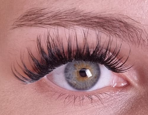 Customer photo review of And so it begins - Drama Edition