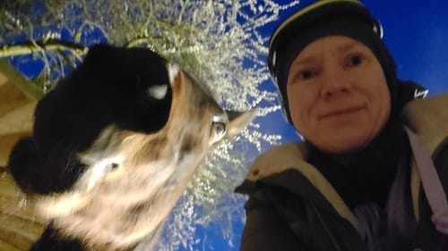 Customer photo review of Adventure Light Pro