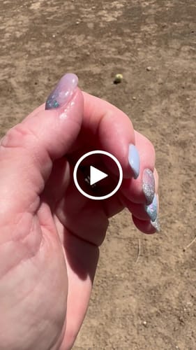 Customer video review of Pick Three Sea Glass Shades