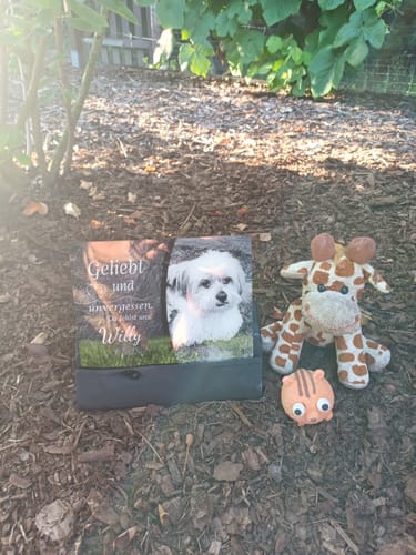 Customer photo review of Hunde Gedenktafel mit Foto & Spruch (UV- & Wetterfest)