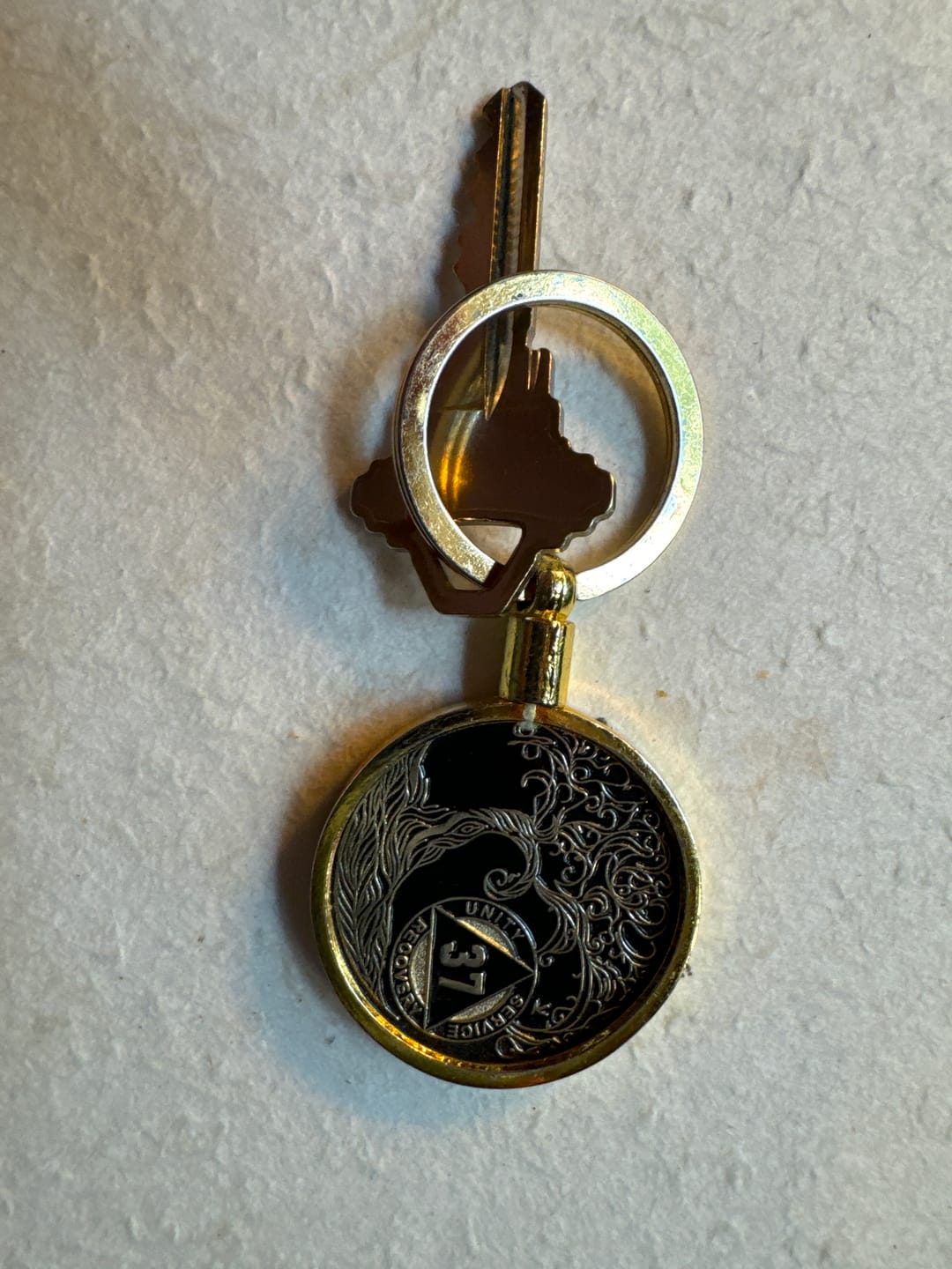 Customer photo review of 1 to 65 Year Sobriety Mint Winding River Gold Plated AA Recovery Medallion/Chip/Coin