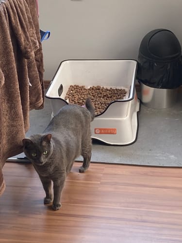 Customer photo review of Weasy Gato