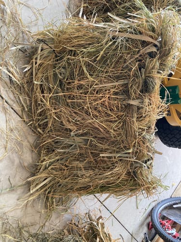 Customer photo review of Hunting Blind Raffia Grass (Pack)