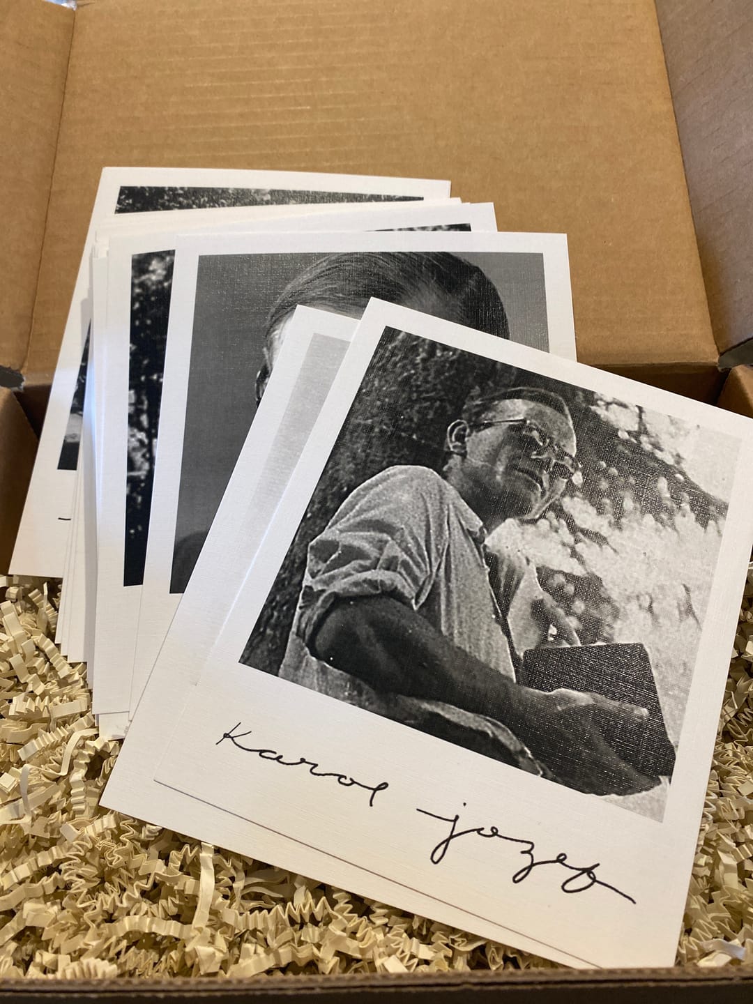 Customer photo review of Full Collection Polaroid Saint Pack