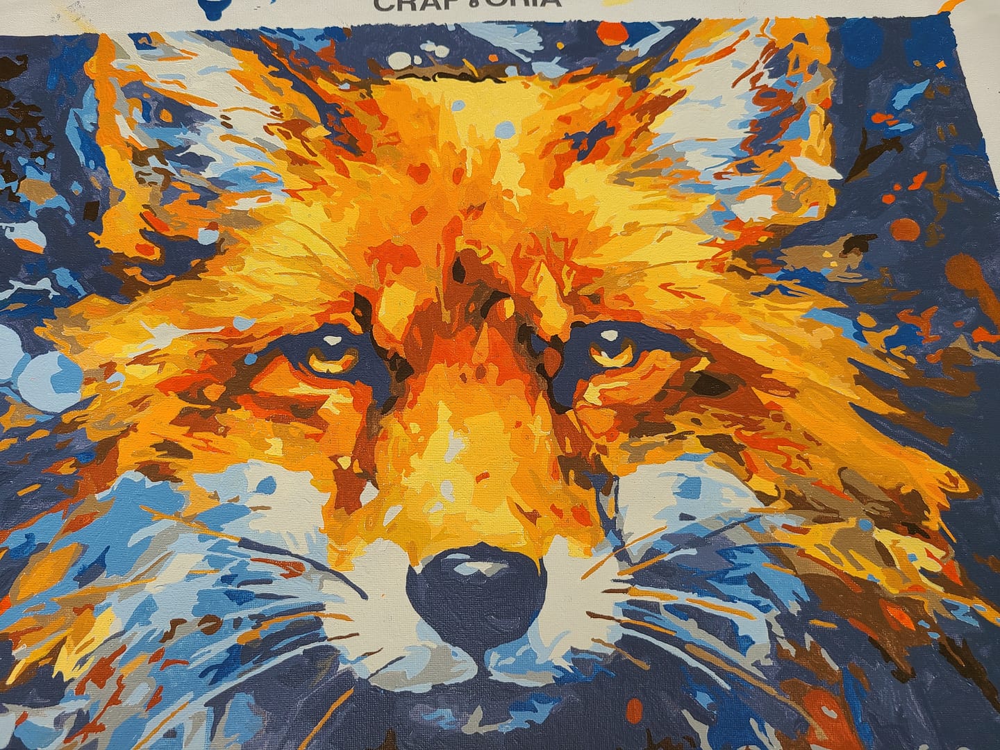 Customer photo review of Inquisitive Fox