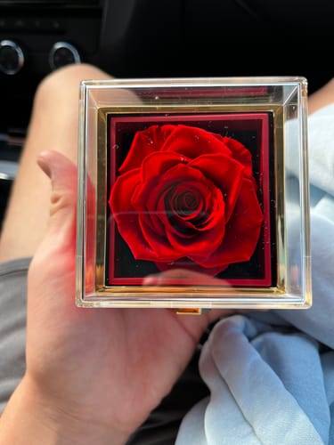 Customer photo review of Eternal Rose Box - W/ Engraved Necklace & Real Rose.