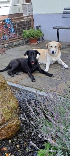 Customer photo review of Nature Protect