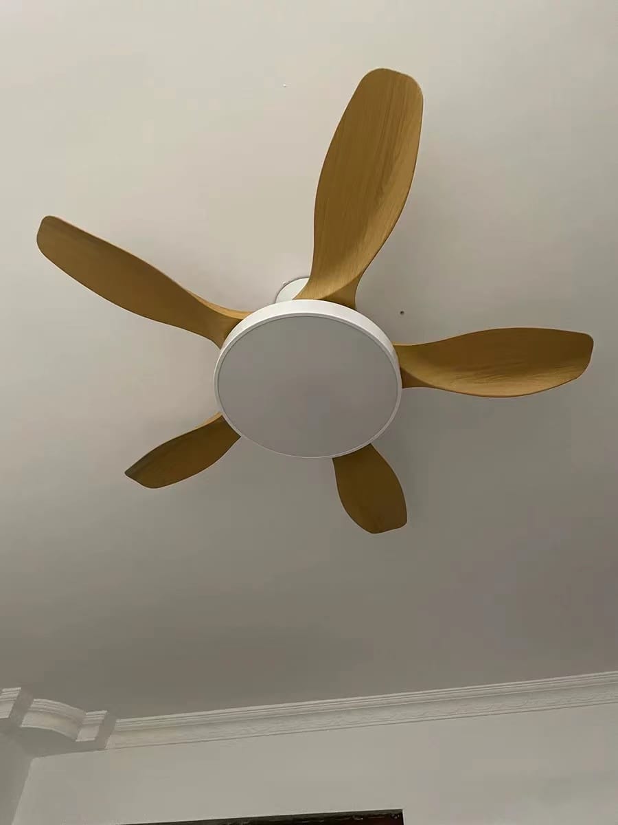 Customer photo review of WOMO Scandi Reversible Ceiling Fan with Light-WM5002
