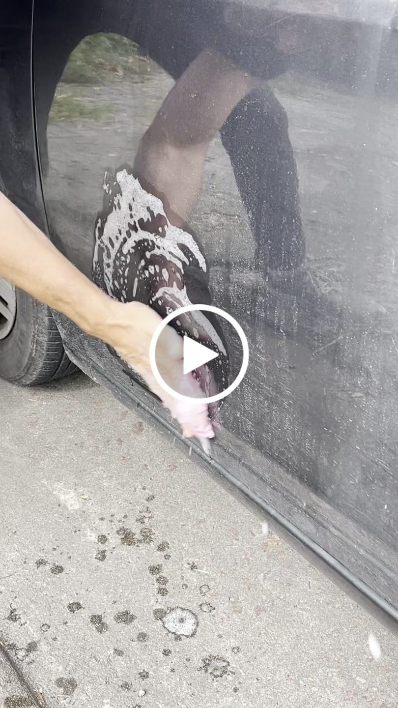 Customer video review of Titan Wash - Jabón Espumoso BLACK GARAGE