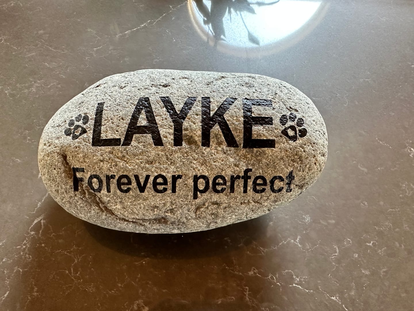 Customer photo review of Pet Grave Marker   Custom Engraved Pet Memorial Stone Paw Prints