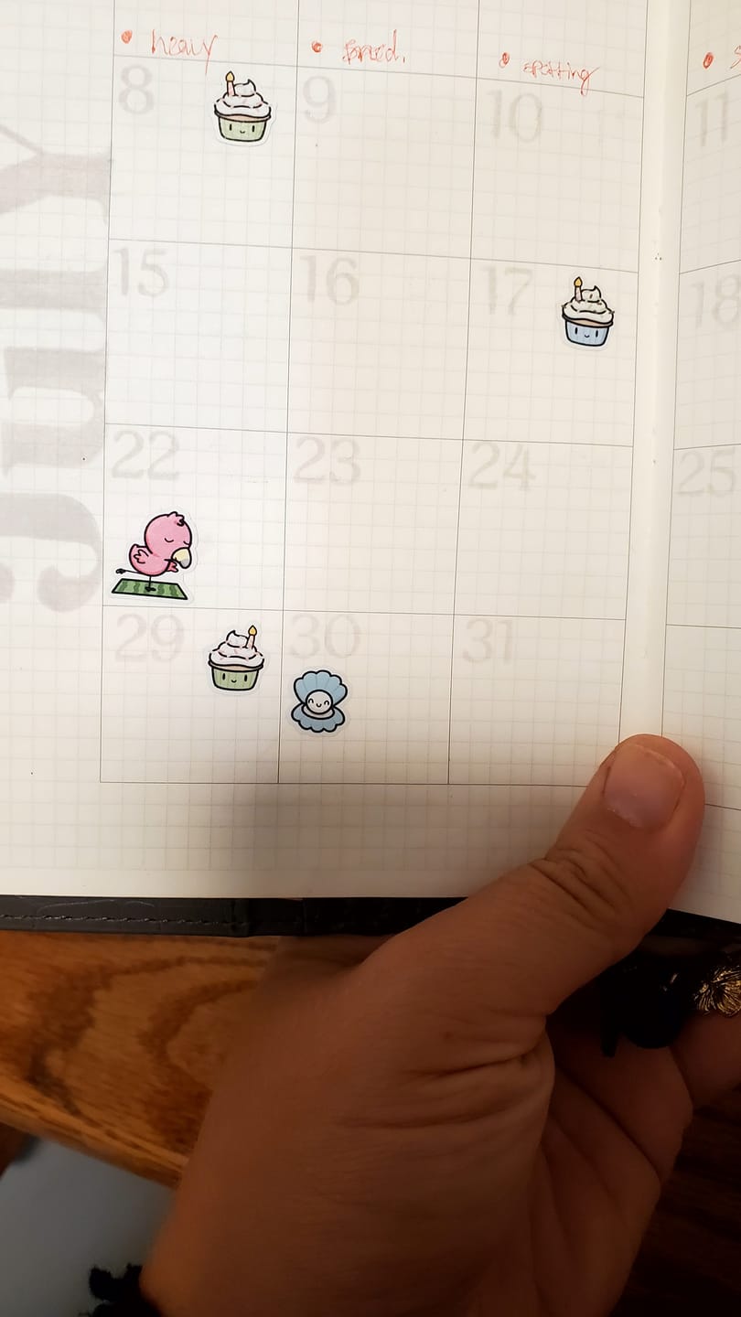 Customer photo review of Birthday Cake! Planner Stickers