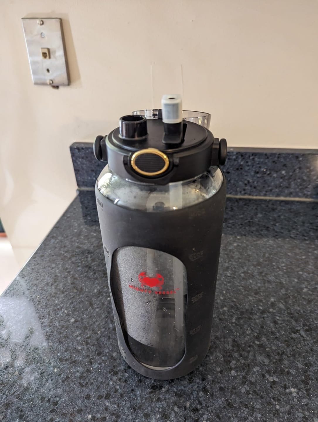 Customer photo review of MIGHTY VESSEL™ SHATTER-RESISTANT GLASS WATER BOTTLE | 64 OZ