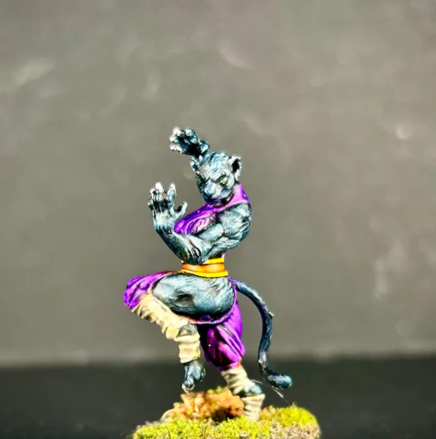 Customer photo review of Tabaxi Monk, Female