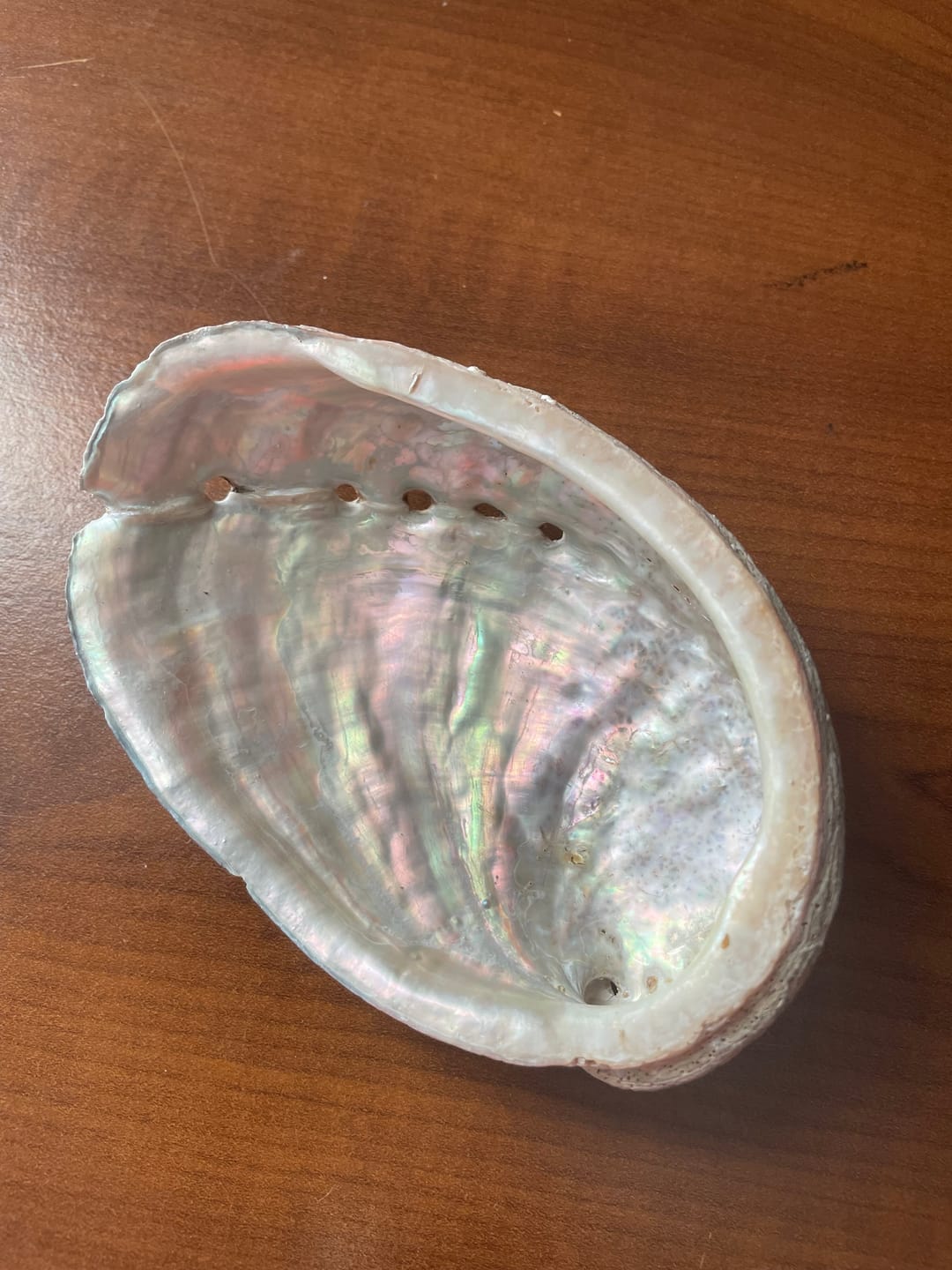 Customer photo review of Abalone naturel (Ormeau)