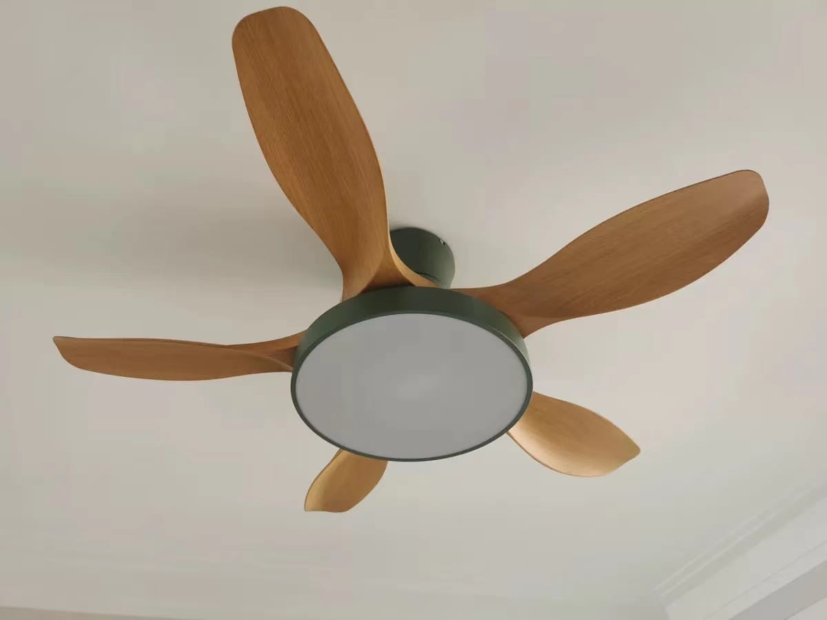 Customer photo review of WOMO Scandi Reversible Ceiling Fan with Light-WM5002