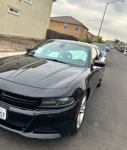 Customer photo review of Black Angry Car Eyes Sun Shade Windshield Cars Car Accessories