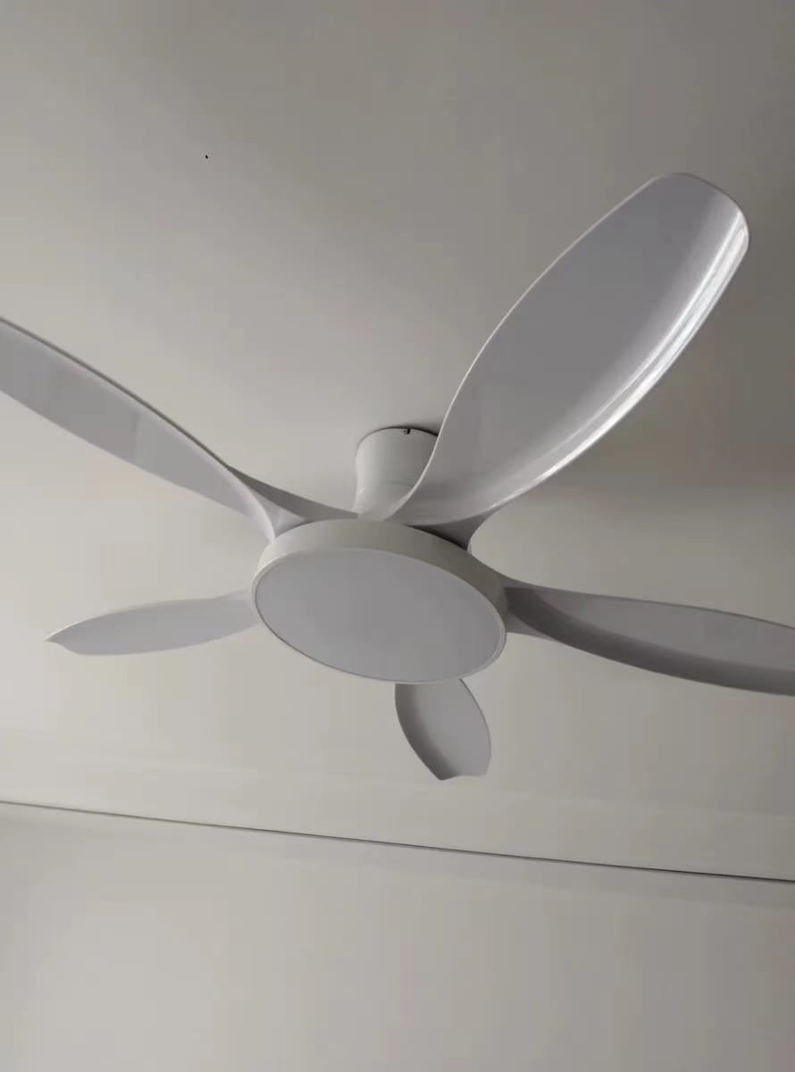 Customer photo review of WOMO Scandi Reversible Ceiling Fan with Light-WM5002