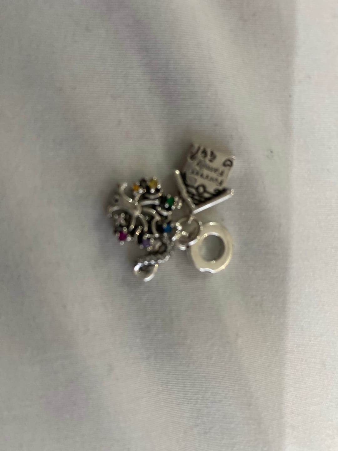 Customer photo review of Charm Casa, Arbol & Infinito "Forever Family"