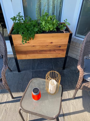 Customer photo review of 18" x 36" Raised Garden Bed