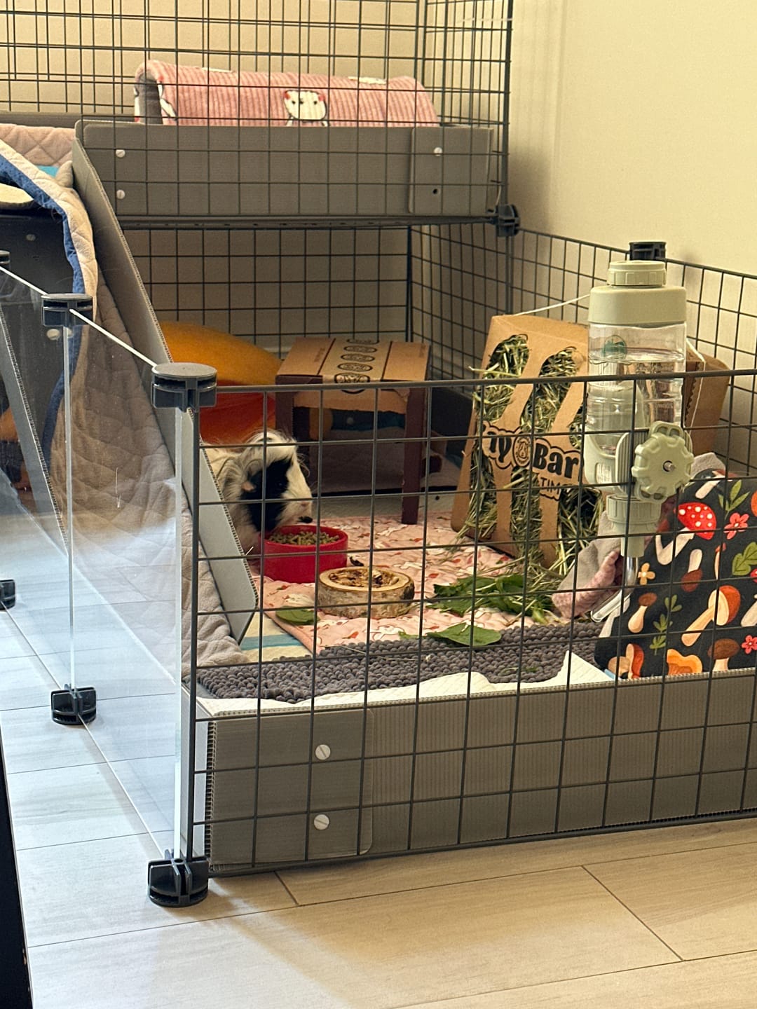 Customer photo review of Piggy Condo C&C Cage with Balcony & Ramp