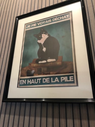 Customer photo review of Je me voyais déchat en haut de la pile