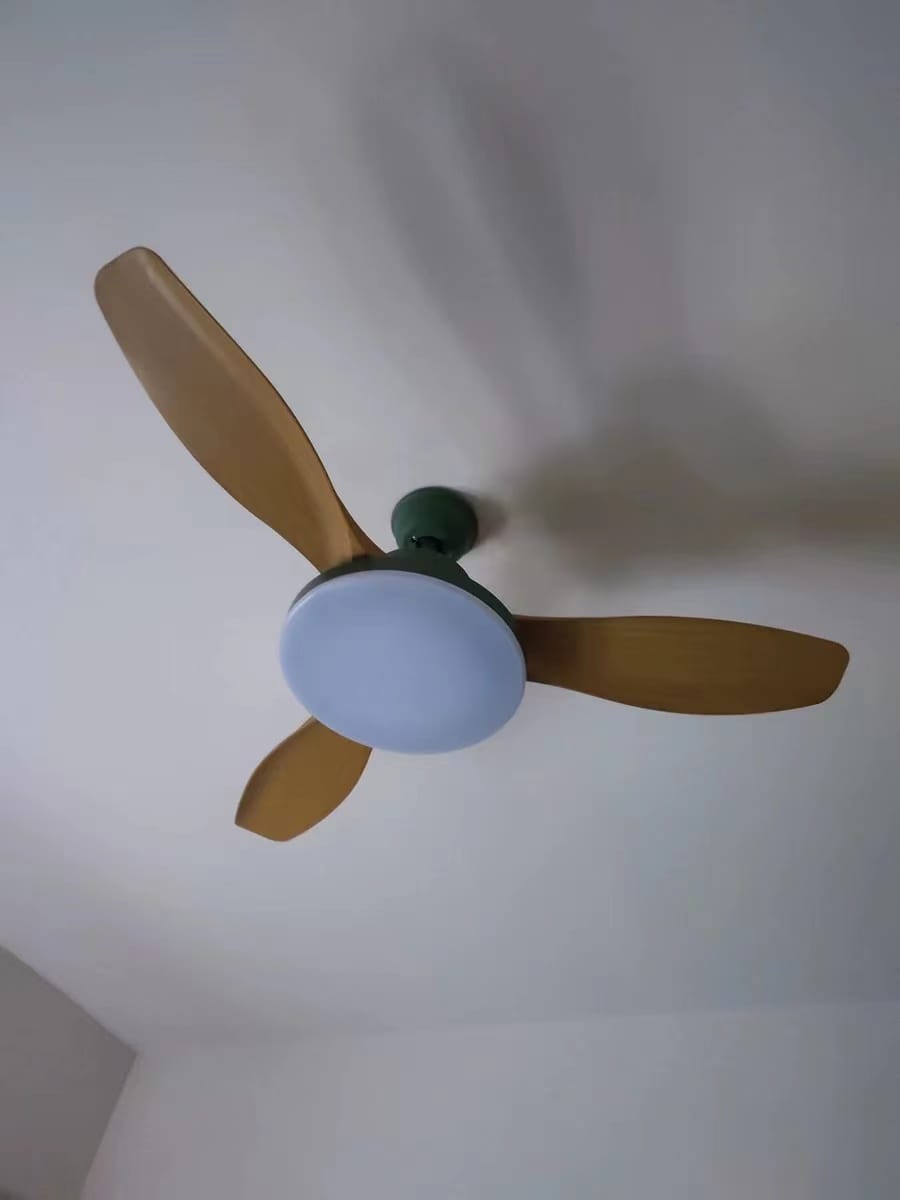 Customer photo review of WOMO Scandi Reversible Ceiling Fan with Light-WM5002