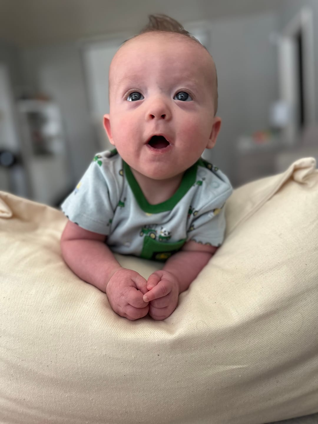 Customer photo review of Peekaboo Pillow | Original