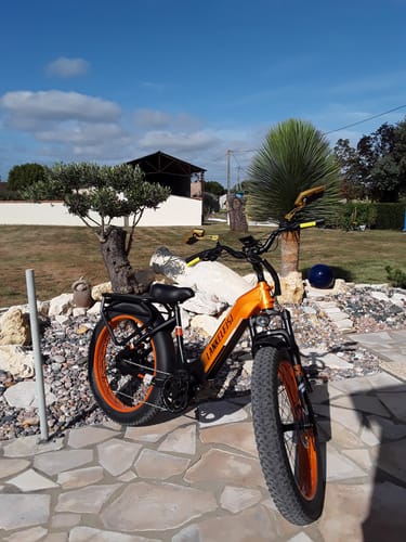 Customer photo review of Lankeleisi MG600 Plus 1000W Bafang Motor 26" Fat Bike All Terrain SUV E-Bike 48V 20Ah Samsung Battery