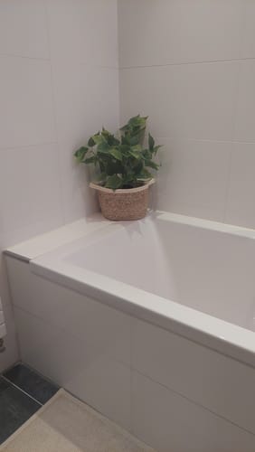 Customer photo review of Dieffenbachia Kunstplant 45cm