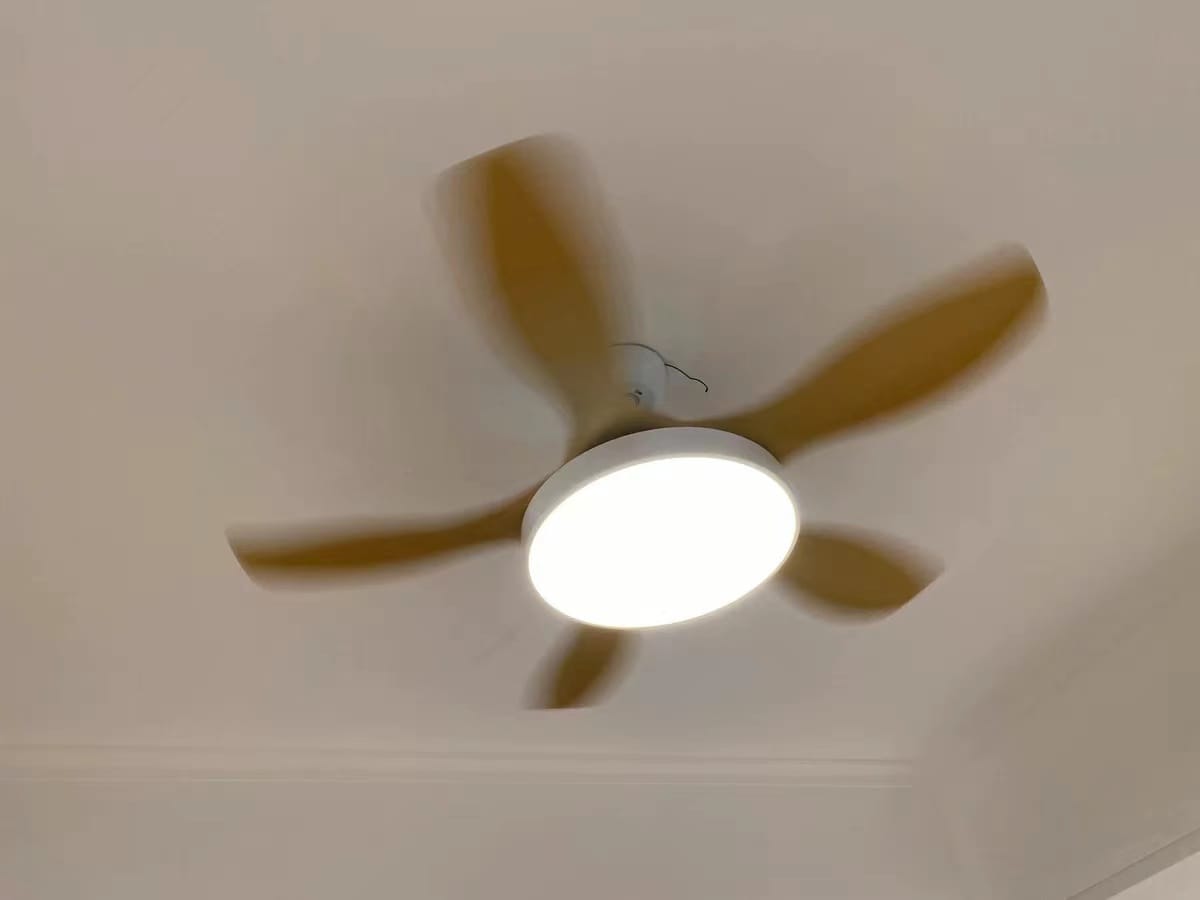 Customer photo review of WOMO Scandi Reversible Ceiling Fan with Light-WM5002