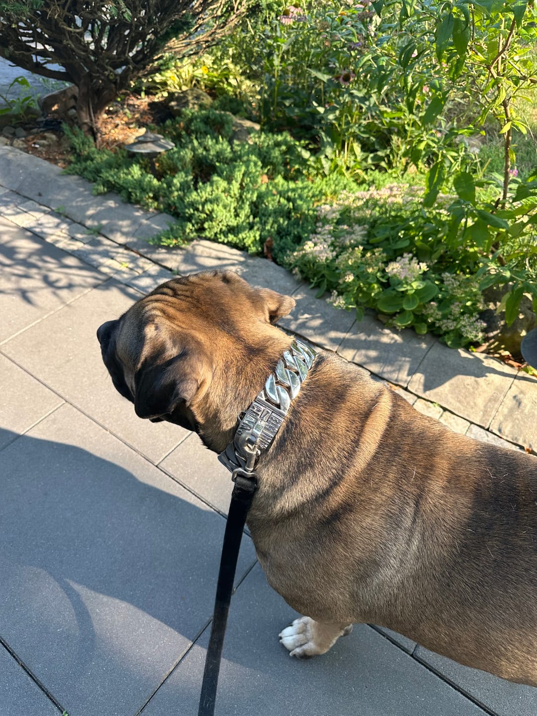 Customer photo review of THE GOLIATH