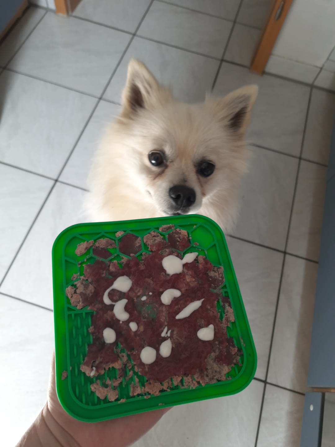 Customer photo review of Hunde Smoothie-Bowl: Der fruchtig frische Elektrolyt-Booster