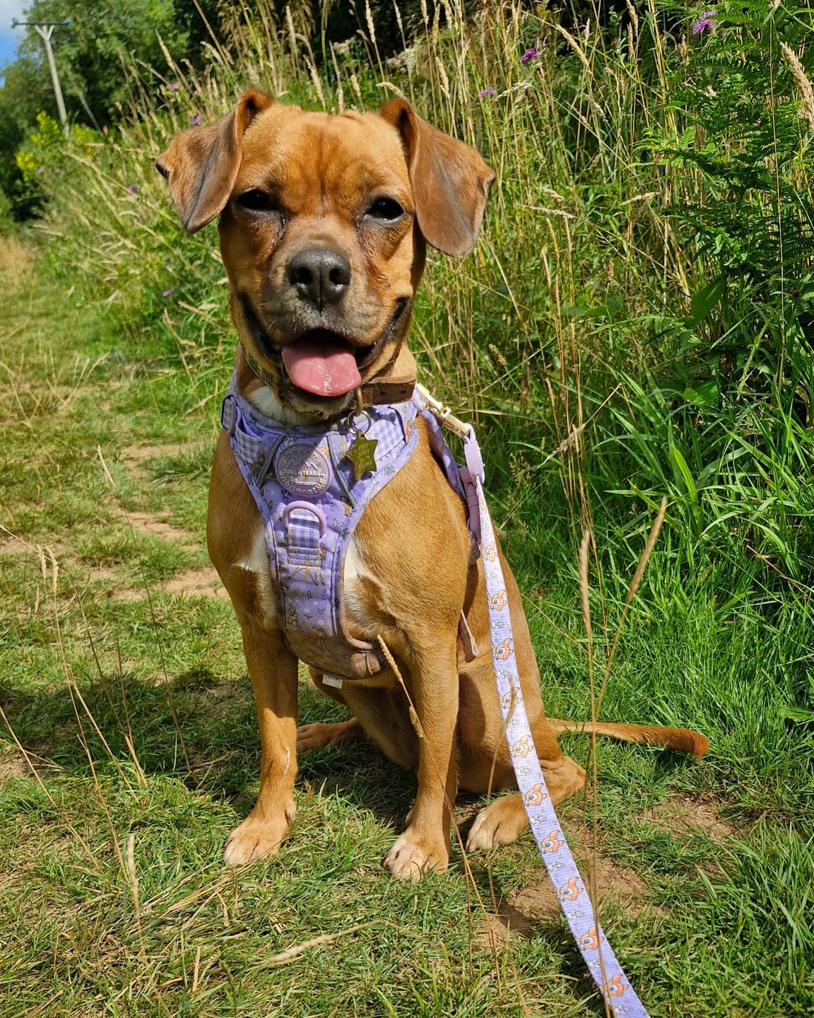Customer photo review of Disney© Tough Trails™ Harness - Bambi + Friends Lilac