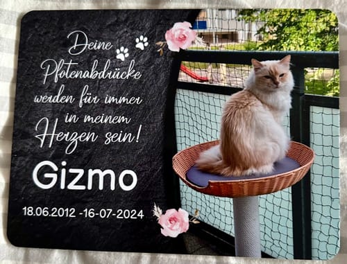 Customer photo review of Katzen Gedenktafel mit Foto & Spruch (UV- & Wetterfest)
