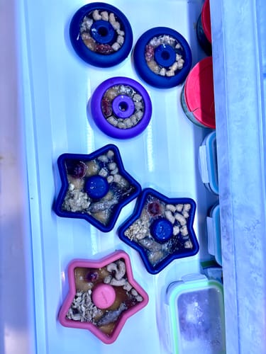 Customer photo review of FreezLava Heavy-Duty Enrichment Chew