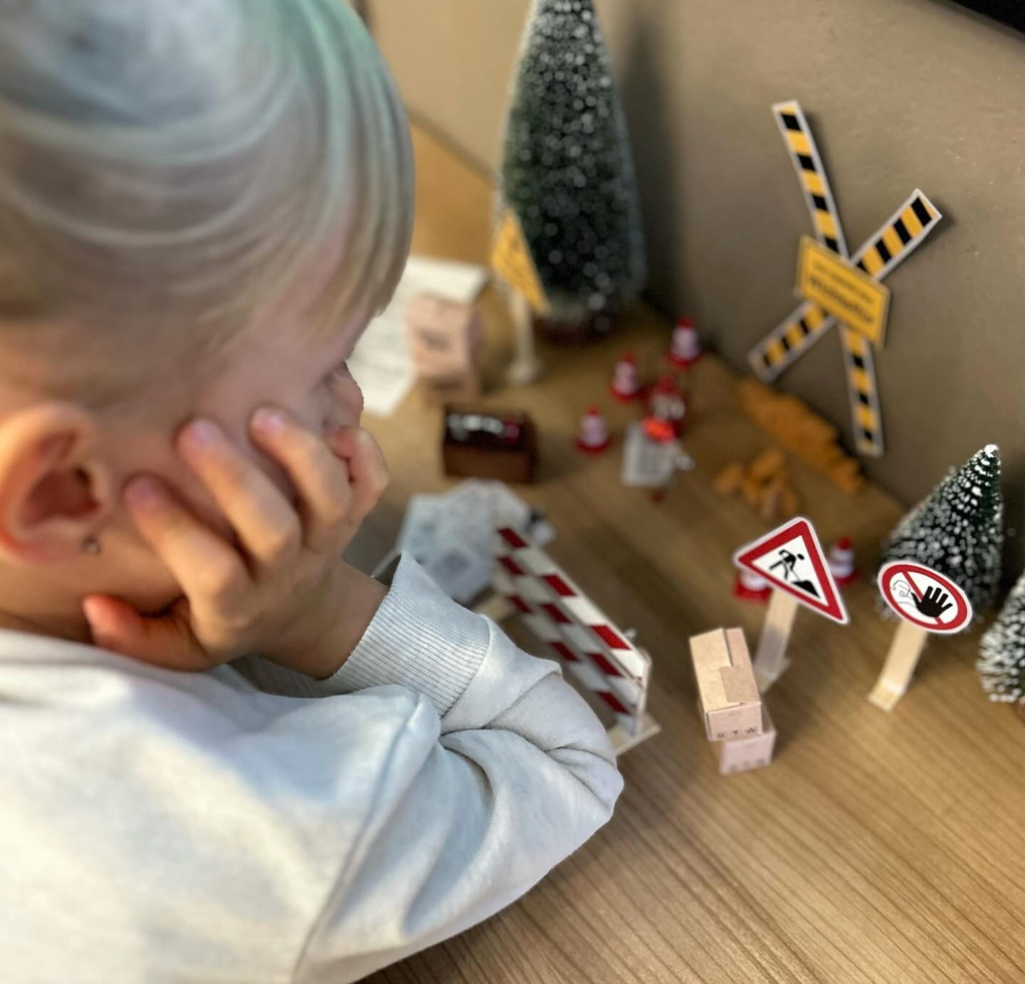 Customer photo review of Wichteltür Premium-Set - das Rundum Sorglos Paket + Backset