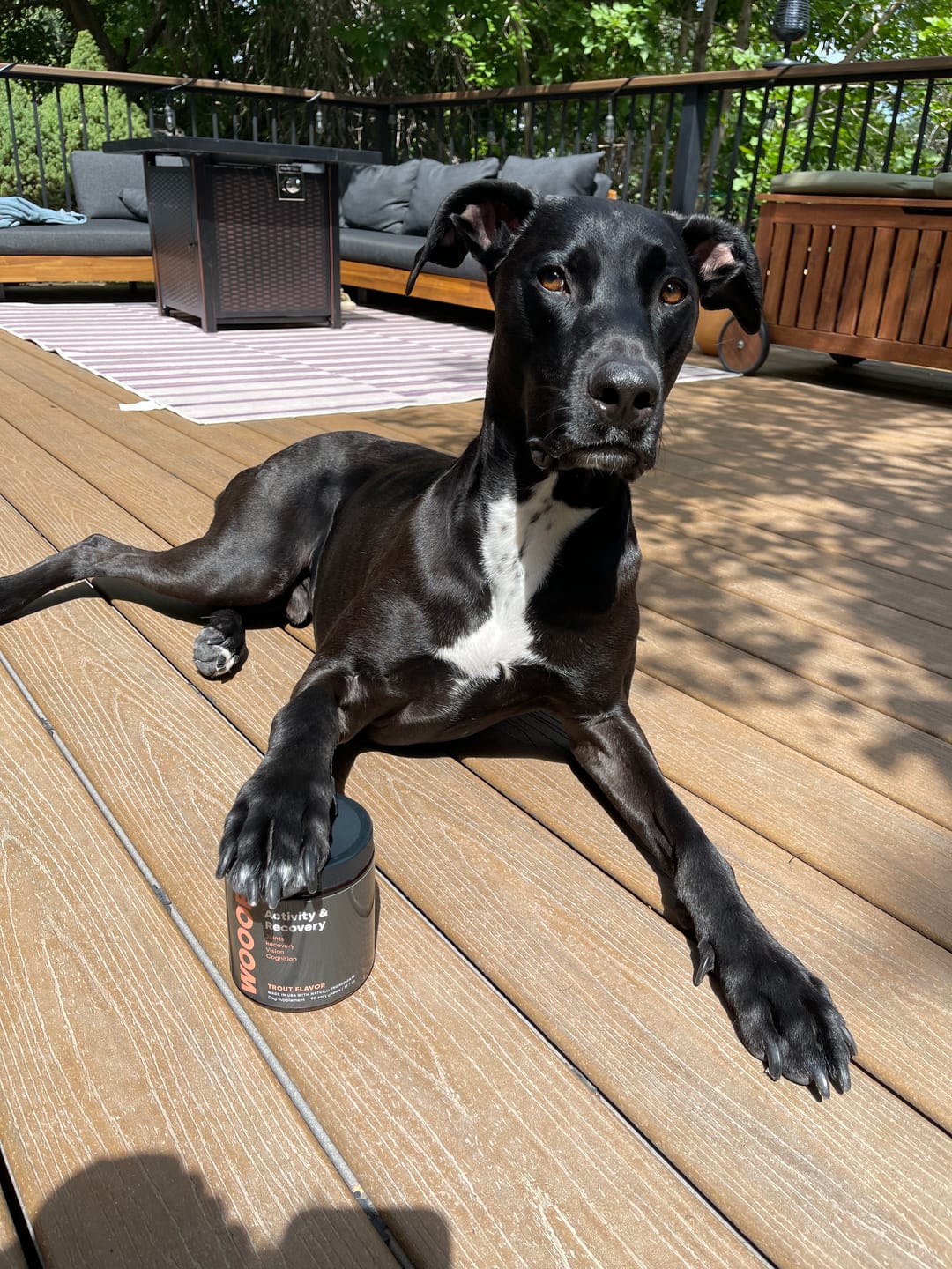 Customer photo review of Activity & Recovery