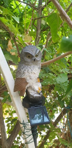 Customer photo review of Commande VIP