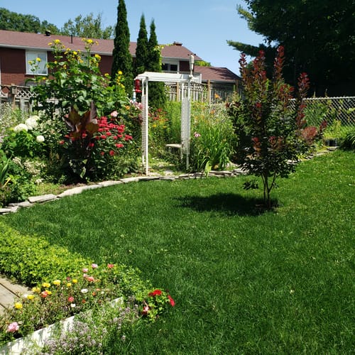 Customer photo review of Par 3 Herbicide Lawn Weed Killer 4L