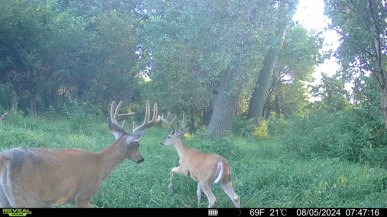 Customer photo review of Secret Scrape Scent