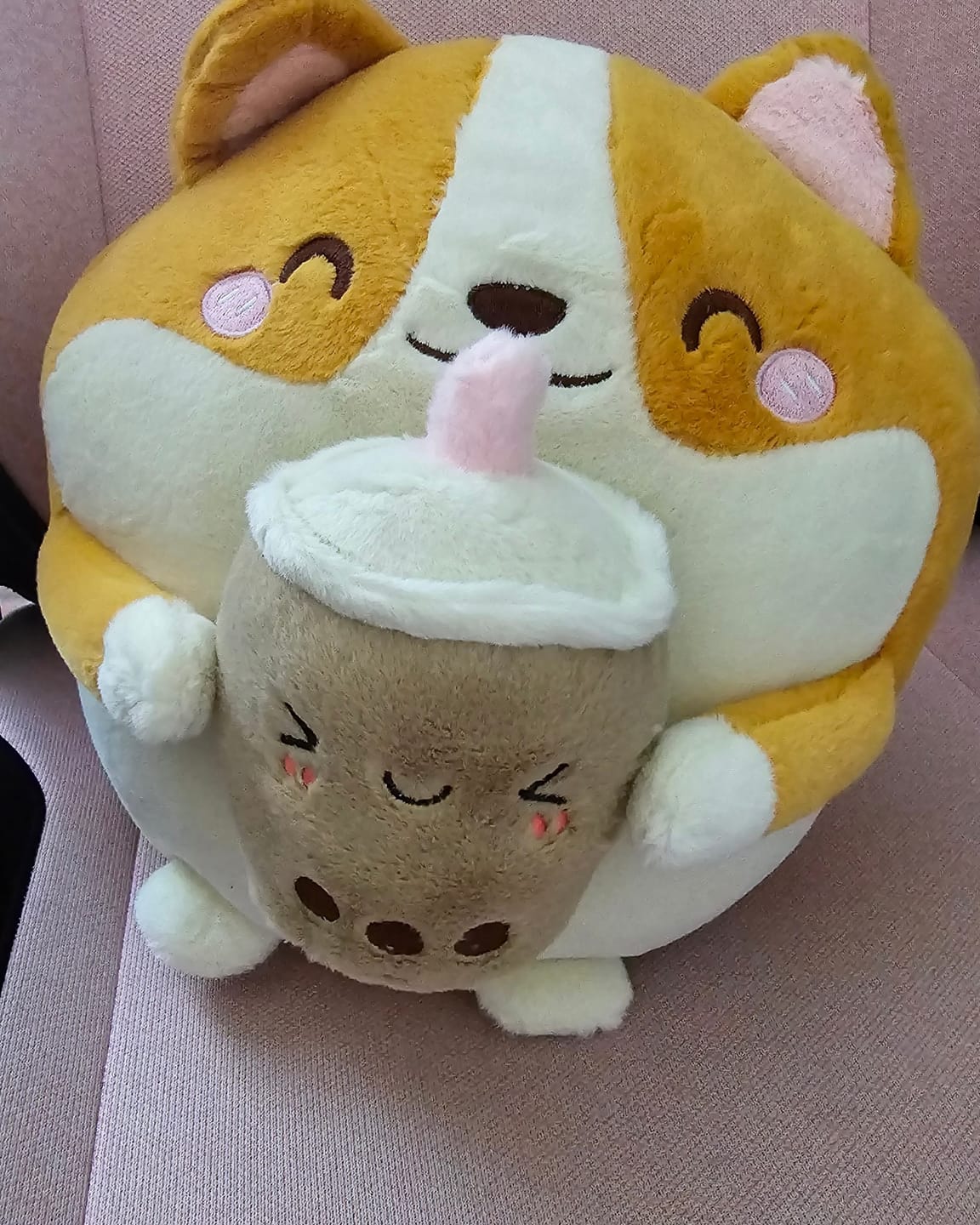 Customer photo review of Boba Corgi Plushies