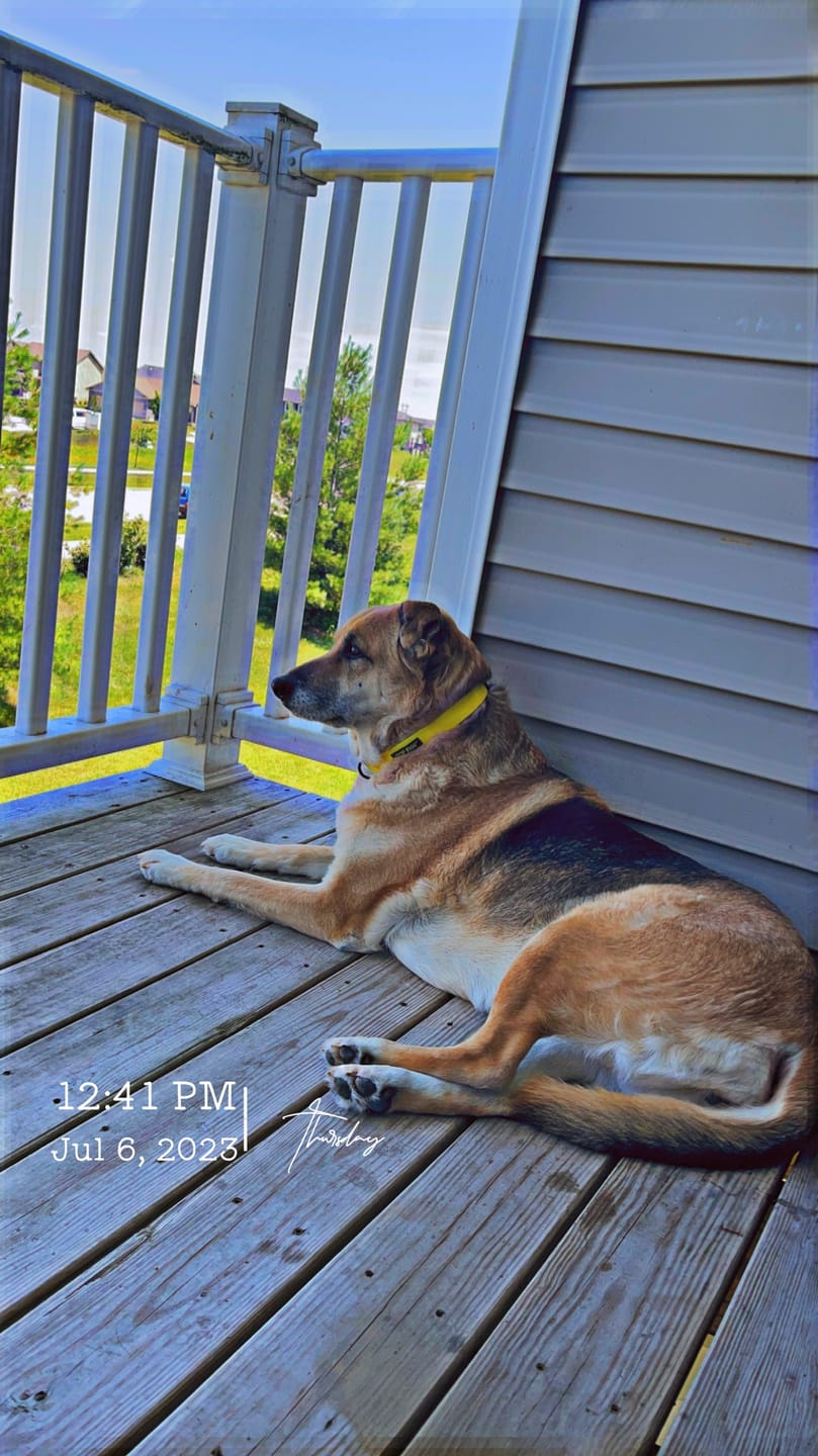 Customer photo review of Activity & Recovery