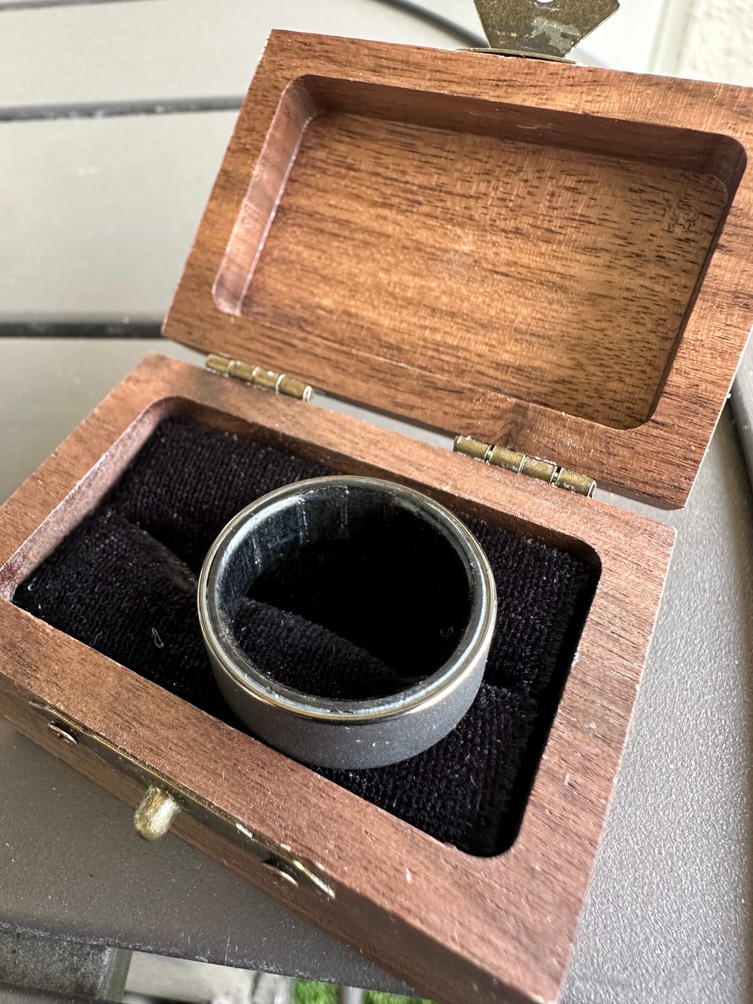 Customer photo review of The Prehistoric Oak
