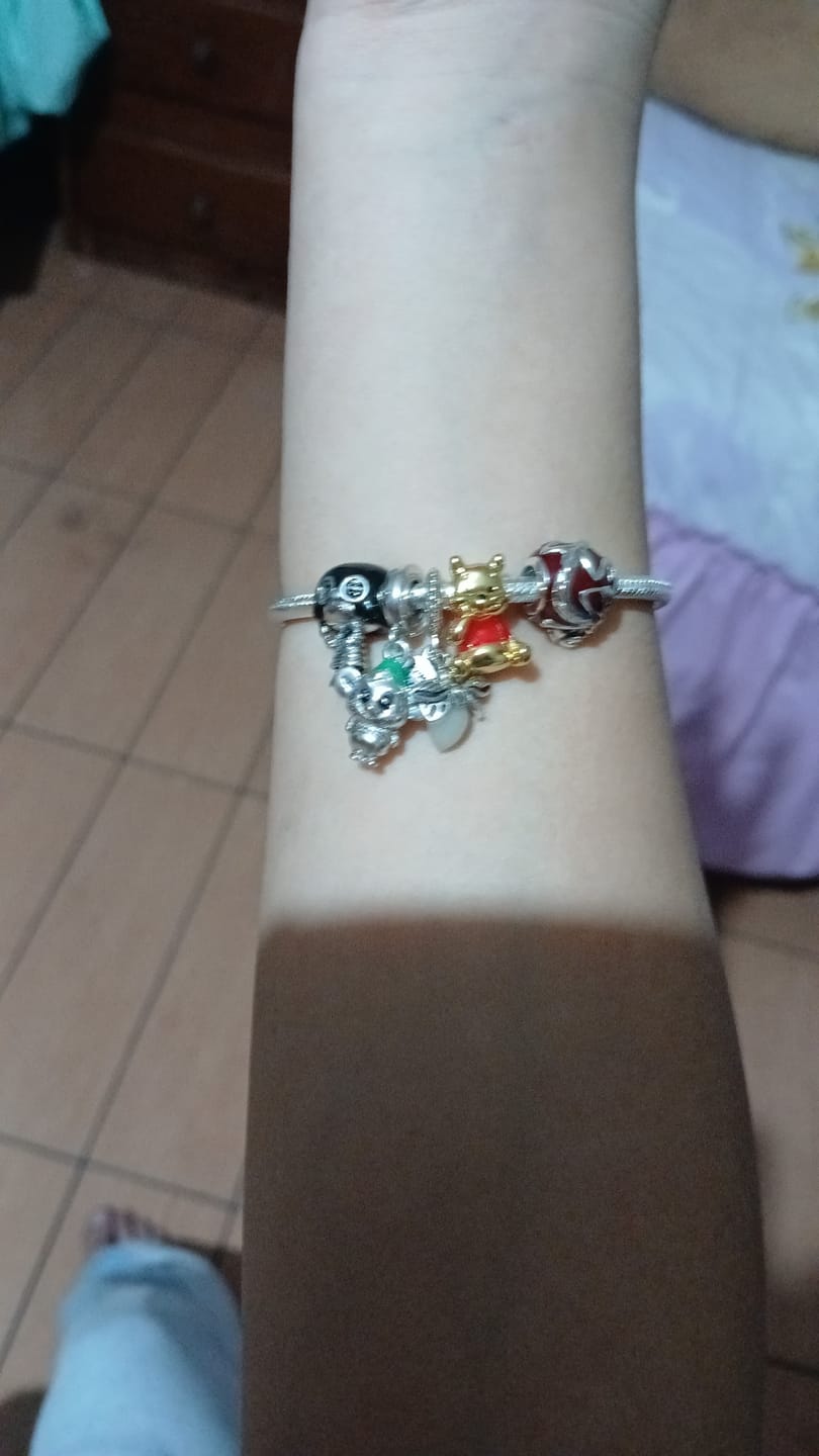 Customer photo review of Charm Viaje al Mundo