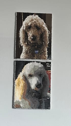 Customer photo review of Custom Pre-Framed Canvas Paint by Number Kit - Upload Your Photo - Brush Set Included