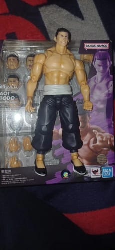 Customer photo review of Todo Aoi S.H.Figuarts