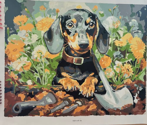 Customer photo review of Productive Dog