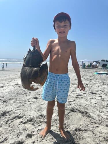 Customer photo review of Blue Tuna